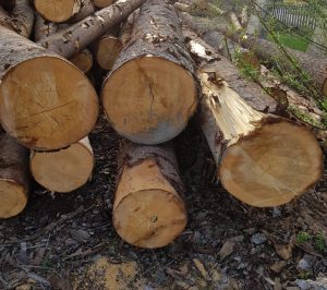 Píla - drevo spracovanie